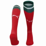 Portugal Calcetines 2025 Casa Rojo - Portugal Barata | camisetafutbolshop