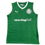 Camiseta 2025 2026 Casa Verde - Camisetas De Futbol Retro | camisetafutbolshop