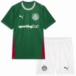 Conjunto 2026 2027 Casa Verde - SE Palmeiras Barata | camisetafutbolshop