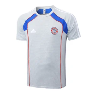 Bayern Múnich Chándal 2025 2026 Gris - Bayern Múnich Barata | camisetafutbolshop