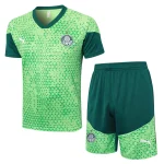 Conjunto 2025 2026 Verde | camisetafutbolshop