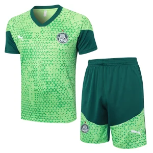 Conjunto 2025 2026 Verde | camisetafutbolshop