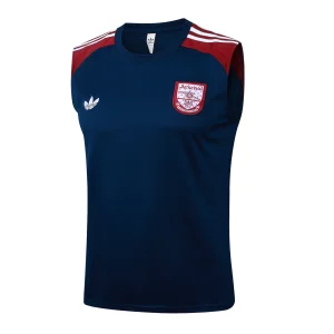 Arsenal Chándal 2025 2026 Azul - Arsenal Barata | camisetafutbolshop