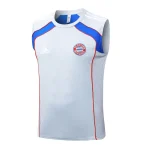 Bayern Múnich Chándal 2025 2026 Gris - Bayern Múnich Barata | camisetafutbolshop
