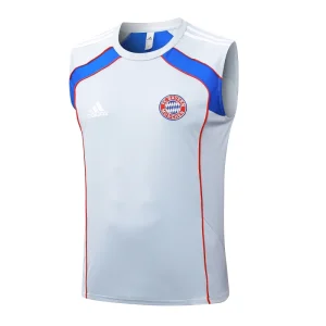 Bayern Múnich Chándal 2025 2026 Gris - Bayern Múnich Barata | camisetafutbolshop
