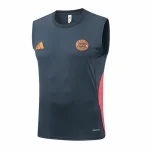 Bayern Múnich Chándal 2025 2026 Gris - Bayern Múnich Barata | camisetafutbolshop