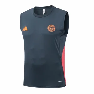 Bayern Múnich Chándal 2025 2026 Gris - Bayern Múnich Barata | camisetafutbolshop