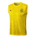 Borussia Dortmund Chándal 2024 2025 Amarillo - Borussia Dortmund Barata | camisetafutbolshop
