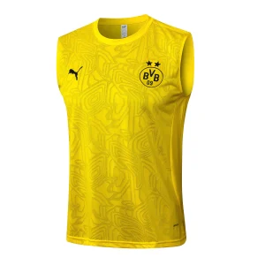Borussia Dortmund Chándal 2024 2025 Amarillo - Borussia Dortmund Barata | camisetafutbolshop