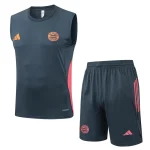 Bayern Múnich Conjunto 2025 2026 Gris - Bayern Múnich Barata | camisetafutbolshop