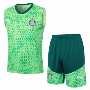 Conjunto 2025 2026 Verde | camisetafutbolshop