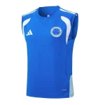 Chándal 2026 2027 Azul - Cruzeiro Ec 2026 | camisetafutbolshop