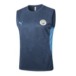 Manchester City Chándal 2024 2025 Gris - Manchester City Barata | camisetafutbolshop