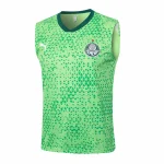 Chándal 2025 2026 Verde | camisetafutbolshop