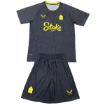 Everton Conjunto 2024 2025 Segunda Gris - Everton Barata | camisetafutbolshop