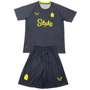 Everton Conjunto 2024 2025 Segunda Gris - Everton Barata | camisetafutbolshop