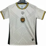 Camiseta 2025 2026 Especial Amarilla - Camisetas De Futbol Retro | camisetafutbolshop