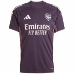 Arsenal Camiseta 2025 2026 Especial Púrpura - Camiseta Arsenal | camisetafutbolshop