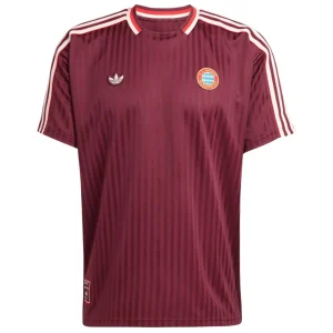 Bayern Múnich Camiseta 2024 2026 Especial Roja - Camiseta Bayern Múnich 2026 | camisetafutbolshop