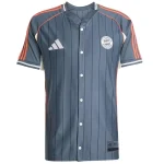 Bayern Múnich Camiseta 2025 2026 Especial Gris - Camiseta Bayern Múnich 2026 | camisetafutbolshop