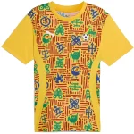 Ghana Camiseta 2025 Especial Amarilla - Camiseta Ghana 2026 | camisetafutbolshop