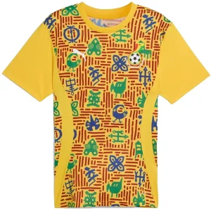Ghana Camiseta 2025 Especial Amarilla - Camiseta Ghana 2026 | camisetafutbolshop