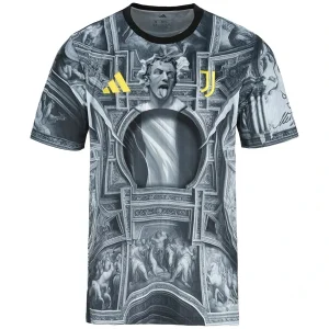 Juventus Camiseta 2025 2026 Especial Gris - Camiseta Juventus | camisetafutbolshop