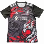 Liverpool Camiseta 2025 2026 Especial Negra - Camiseta Liverpool | camisetafutbolshop
