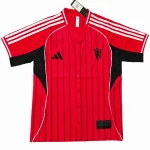 Manchester United Camiseta 2025 2026 Especial Roja - Camiseta Manchester United | camisetafutbolshop