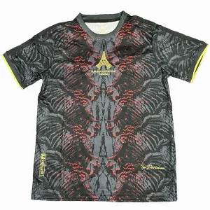 Paris Saint Germain Camiseta 2025 2026 Especial Gris - Camiseta Paris Saint Germain | camisetafutbolshop