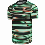 Portugal Camiseta 2025 Especial Verde - Camiseta Portugal | camisetafutbolshop