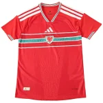 Gales Camiseta Edición Jugadores 2026 Casa Roja - Camiseta Gales Rugby | camisetafutbolshop