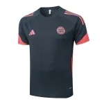 Bayern Múnich Chándal 2025 2026 Gris - Chándal Bayern Múnich | camisetafutbolshop