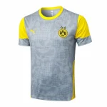 Borussia Dortmund Chándal 2025 2026 Gris - Chándal Borussia Dortmund | camisetafutbolshop