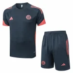 Bayern Múnich Conjunto 2025 2026 Gris - Bayern Múnich Barata | camisetafutbolshop