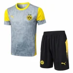 Borussia Dortmund Conjunto 2025 2026 Gris - Borussia Dortmund Barata | camisetafutbolshop