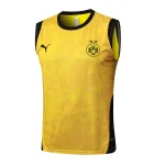Borussia Dortmund Chándal 2025 2026 Amarillo - Chándal Borussia Dortmund | camisetafutbolshop