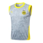 Borussia Dortmund Chándal 2025 2026 Gris - Chándal Borussia Dortmund | camisetafutbolshop