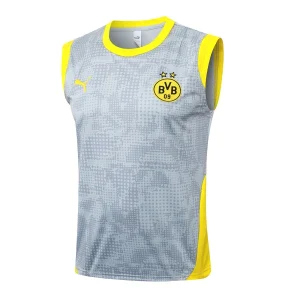 Borussia Dortmund Chándal 2025 2026 Gris - Chándal Borussia Dortmund | camisetafutbolshop