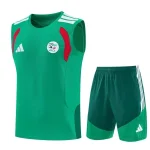 Argelia Conjunto 2026 Verde - Argelia Barata | camisetafutbolshop