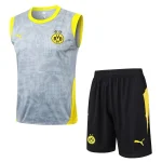 Borussia Dortmund Conjunto 2025 2026 Gris - Borussia Dortmund Barata | camisetafutbolshop