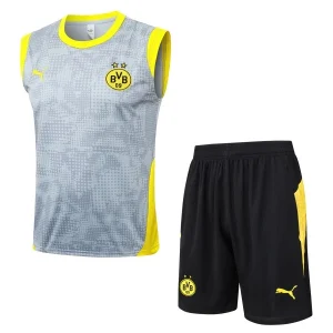Borussia Dortmund Conjunto 2025 2026 Gris - Borussia Dortmund Barata | camisetafutbolshop