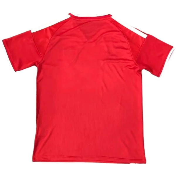 Gales Camiseta 2026 Especial Roja - Camiseta Gales Rugby | camisetafutbolshop