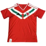 Gales Camiseta 2026 Especial Roja - Camiseta Gales Rugby | camisetafutbolshop