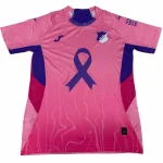 Hoffenheim Camiseta 2025 2026 Rosa - Camiseta Hoffenheim | camisetafutbolshop